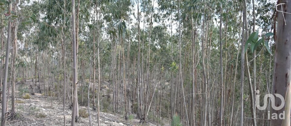 Terrain à Rio de Couros e Casal dos Bernardos de 7 590 m²