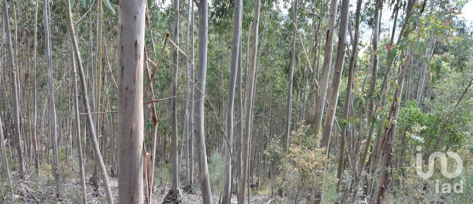Terrain à Rio de Couros e Casal dos Bernardos de 7 590 m²