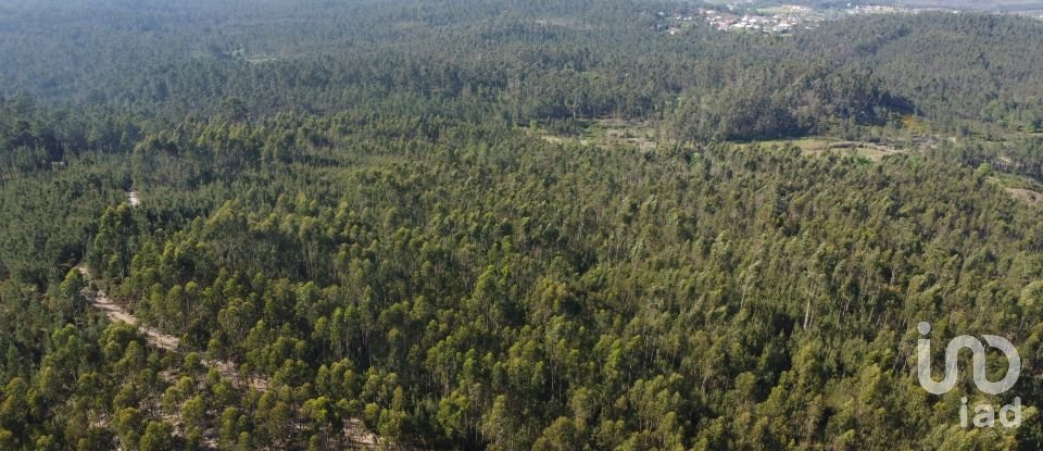 Terrain à Rio de Couros e Casal dos Bernardos de 7 590 m²