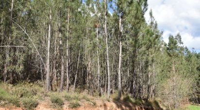 Terrain à Rio de Couros e Casal dos Bernardos de 3 487 m²