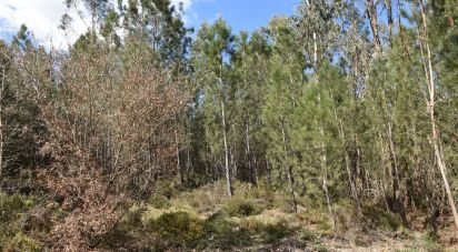 Terrain à Rio de Couros e Casal dos Bernardos de 3 487 m²