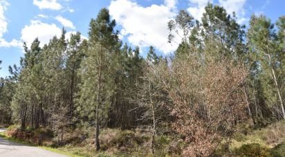 Terrain à Rio de Couros e Casal dos Bernardos de 3 487 m²