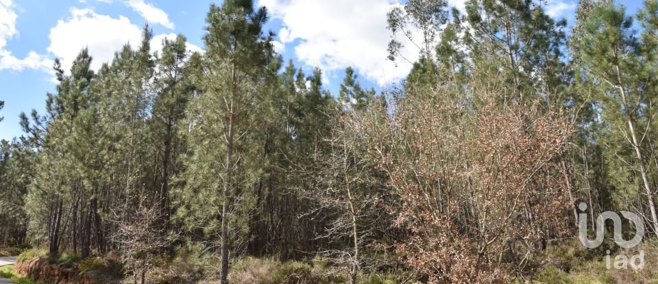 Terrain à Rio de Couros e Casal dos Bernardos de 3 487 m²