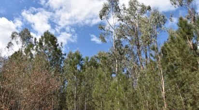 Terrain à Rio de Couros e Casal dos Bernardos de 3 487 m²