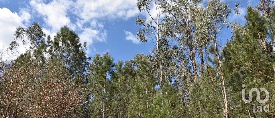 Terrain à Rio de Couros e Casal dos Bernardos de 3 487 m²