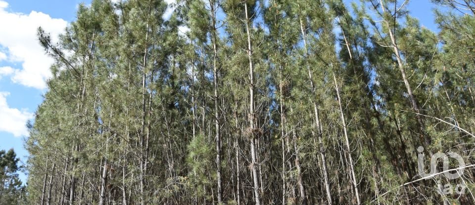 Terrain à Rio de Couros e Casal dos Bernardos de 3 487 m²