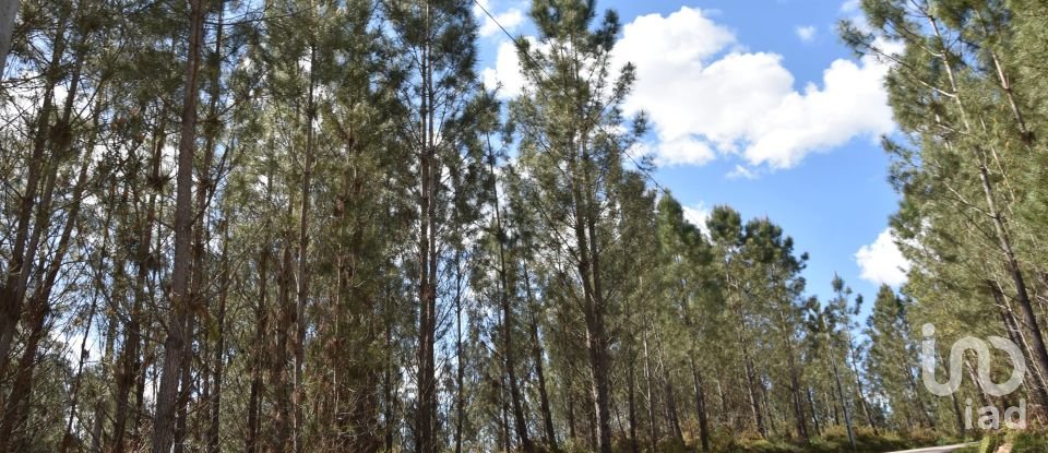 Terrain à Rio de Couros e Casal dos Bernardos de 3 487 m²