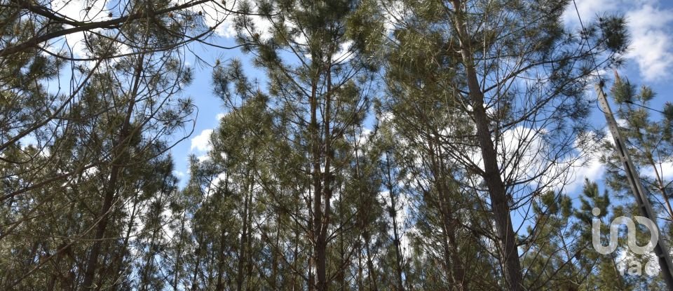 Terrain à Rio de Couros e Casal dos Bernardos de 3 487 m²