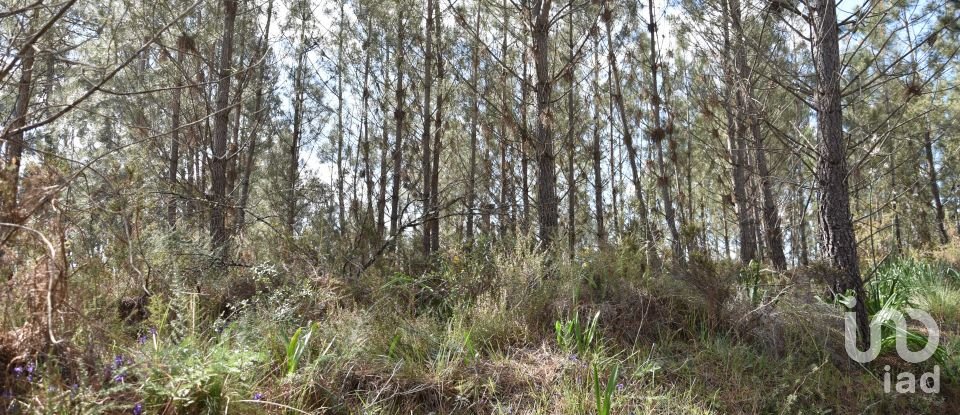 Terrain à Rio de Couros e Casal dos Bernardos de 3 487 m²