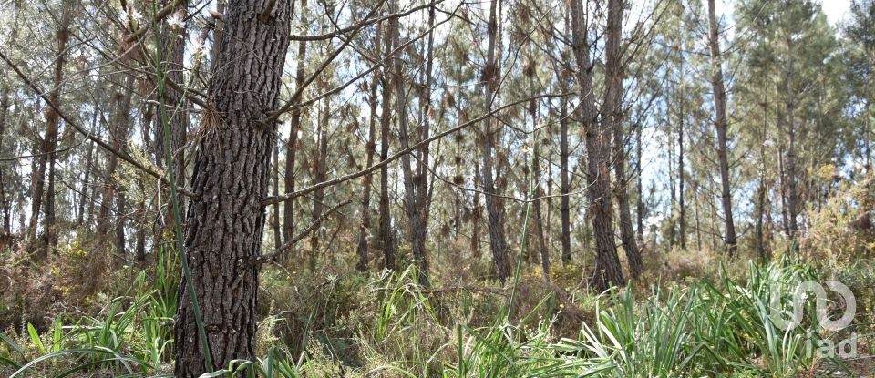 Terrain à Rio de Couros e Casal dos Bernardos de 3 487 m²