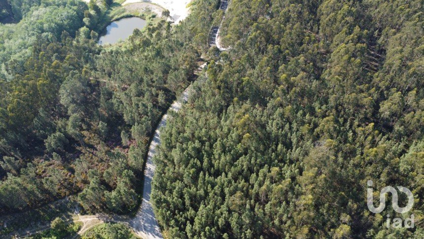 Terrain à Rio de Couros e Casal dos Bernardos de 3 487 m²