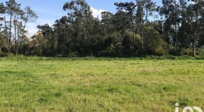 Building plot in Calvão of 1,300 m²