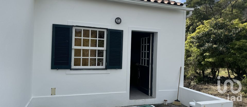 House T3 in São João of 144 m²