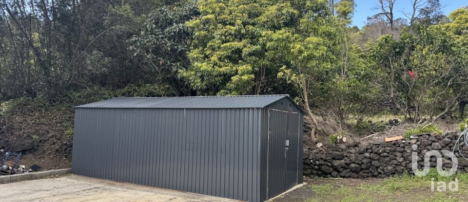 House T3 in São João of 144 m²