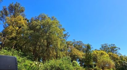 Appartement T3 à Queluz e Belas de 95 m²