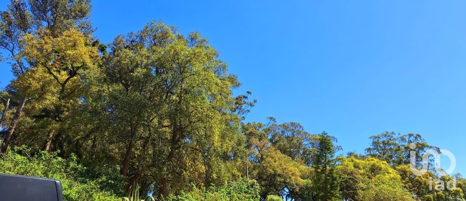 Apartment T3 in Queluz e Belas of 95 m²