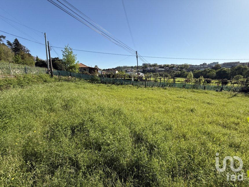 Terreno urbano em Parada de Cunhos de 439 m²