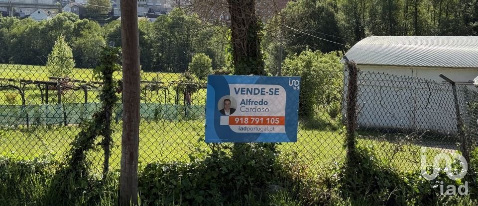 Terreno urbano em Parada de Cunhos de 439 m²