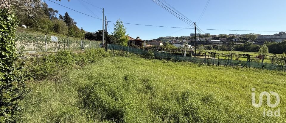 Terreno urbano em Parada de Cunhos de 439 m²