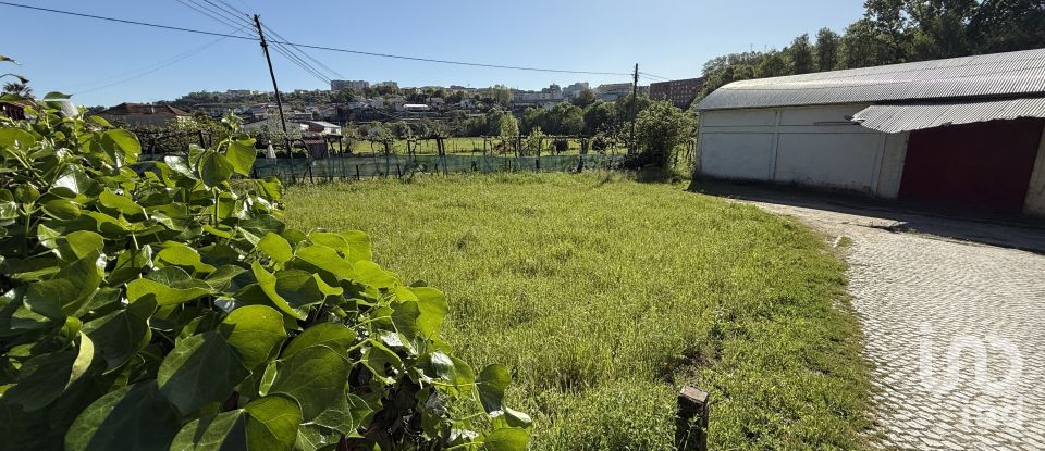 Terreno urbano em Parada de Cunhos de 439 m²