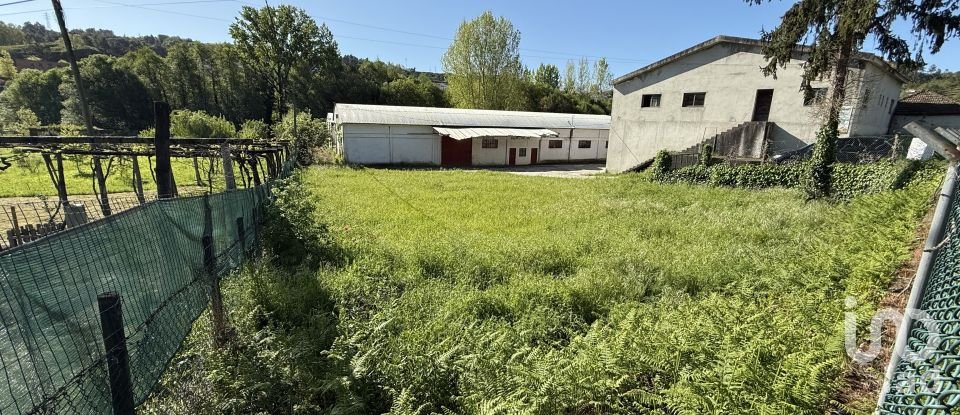 Terreno urbano em Parada de Cunhos de 439 m²