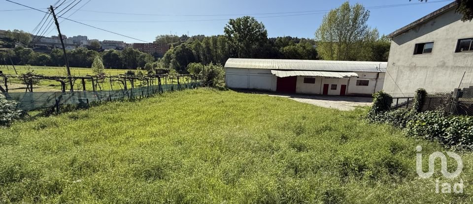 Terreno urbano em Parada de Cunhos de 439 m²