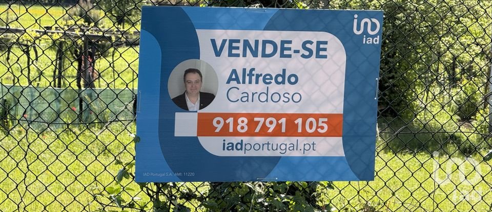 Terreno urbano em Parada de Cunhos de 439 m²