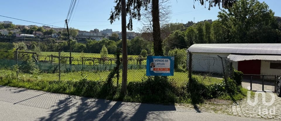 Terreno urbano em Parada de Cunhos de 439 m²