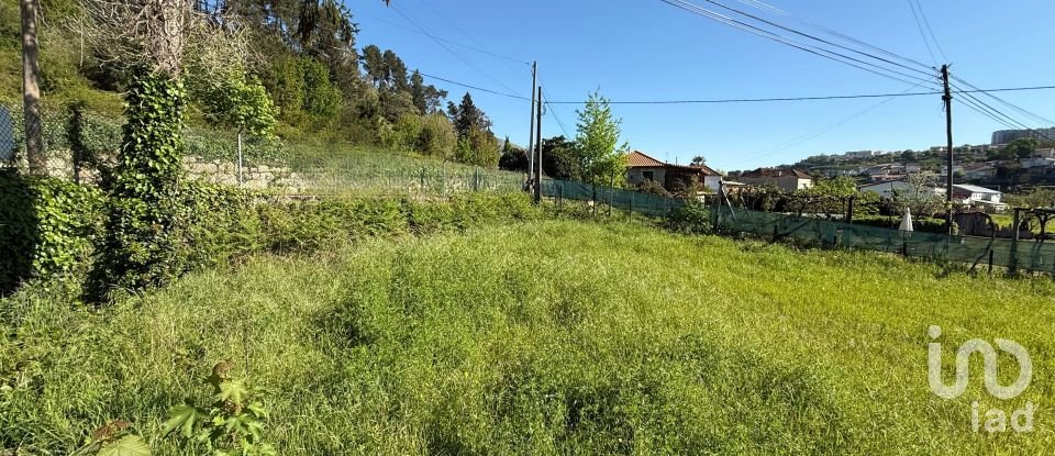 Terreno urbano em Parada de Cunhos de 439 m²