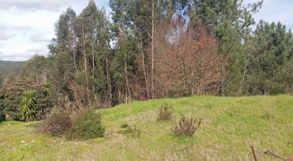 Land in São Miguel, Santa Eufémia e Rabaçal of 3,870 m²