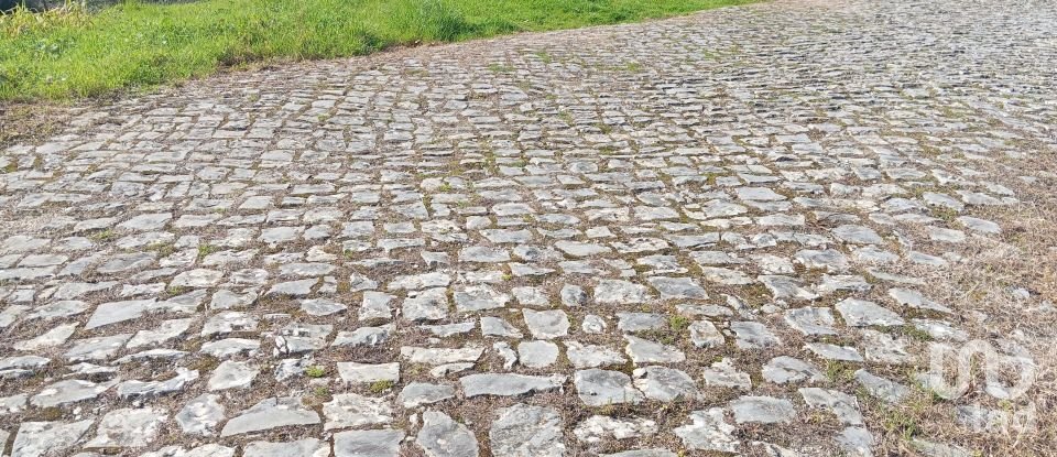 Land in São Miguel, Santa Eufémia e Rabaçal of 3,870 m²