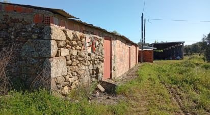 Terrain à Capinha de 16 610 m²