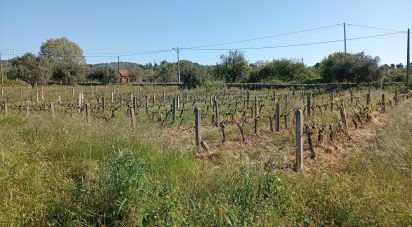 Terrain à Capinha de 16 610 m²