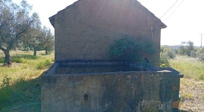 Terrain à Capinha de 16 610 m²