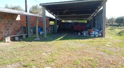 Terrain à Capinha de 16 610 m²