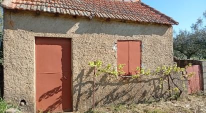 Terrain à Capinha de 16 610 m²