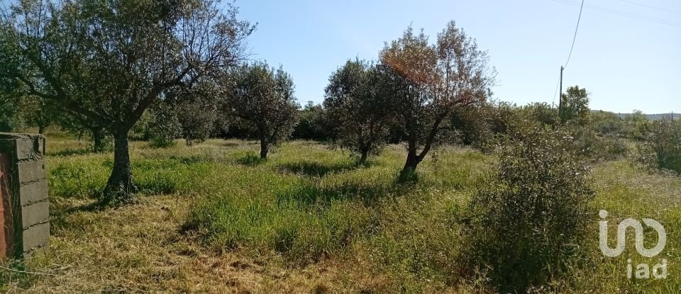 Land in Capinha of 16,610 m²