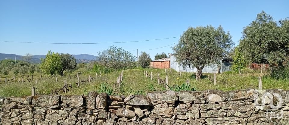 Land in Capinha of 16,610 m²