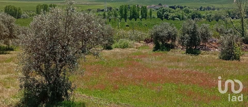 Land in Capinha of 16,610 m²