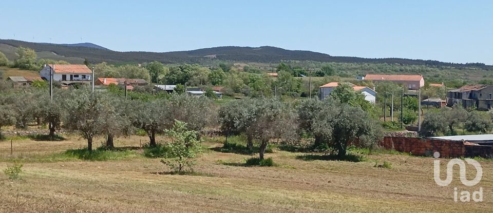 Land in Capinha of 16,610 m²