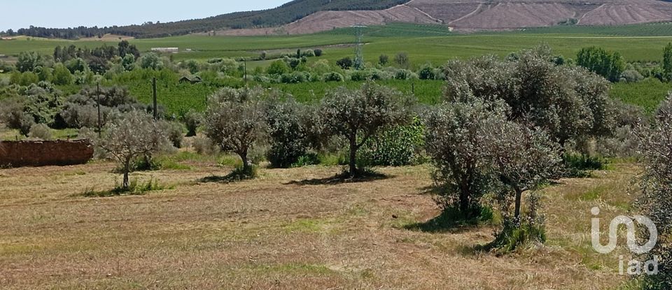 Land in Capinha of 16,610 m²