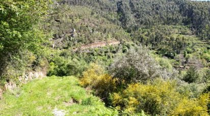 Building plot in São Miguel, Santa Eufémia e Rabaçal of 27,351 m²