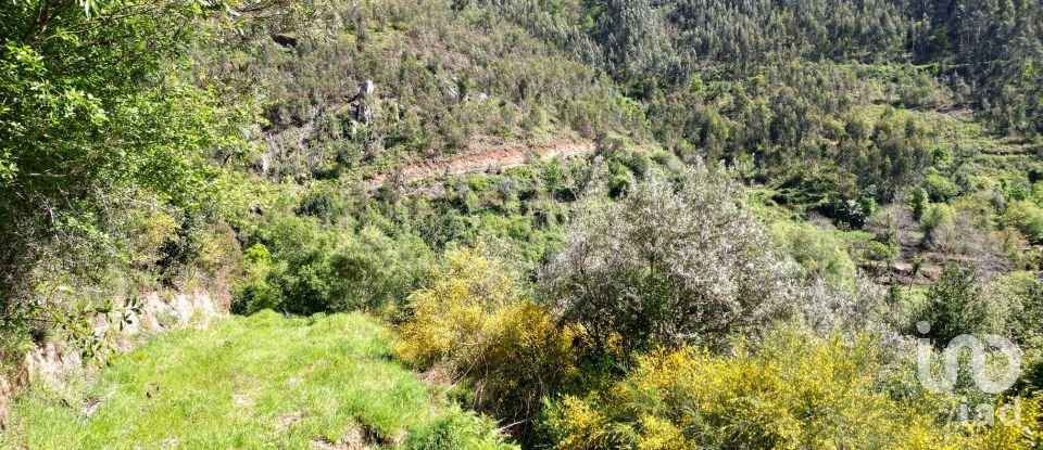 Building plot in São Miguel, Santa Eufémia e Rabaçal of 27,351 m²