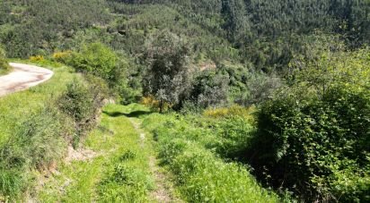 Building plot in São Miguel, Santa Eufémia e Rabaçal of 27,351 m²