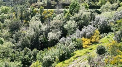 Building plot in São Miguel, Santa Eufémia e Rabaçal of 27,351 m²