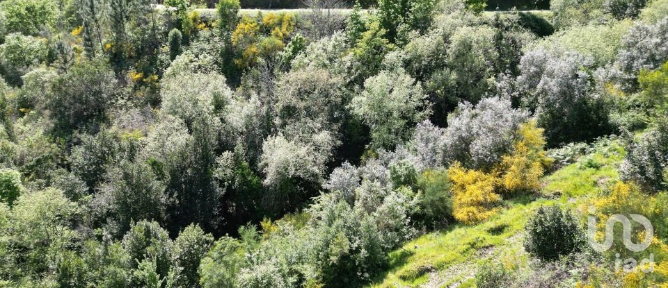 Building plot in São Miguel, Santa Eufémia e Rabaçal of 27,351 m²