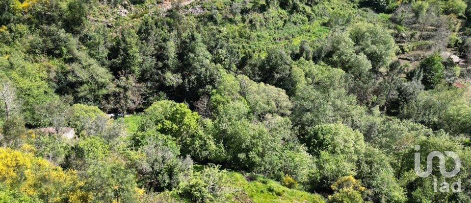 Building plot in São Miguel, Santa Eufémia e Rabaçal of 27,351 m²