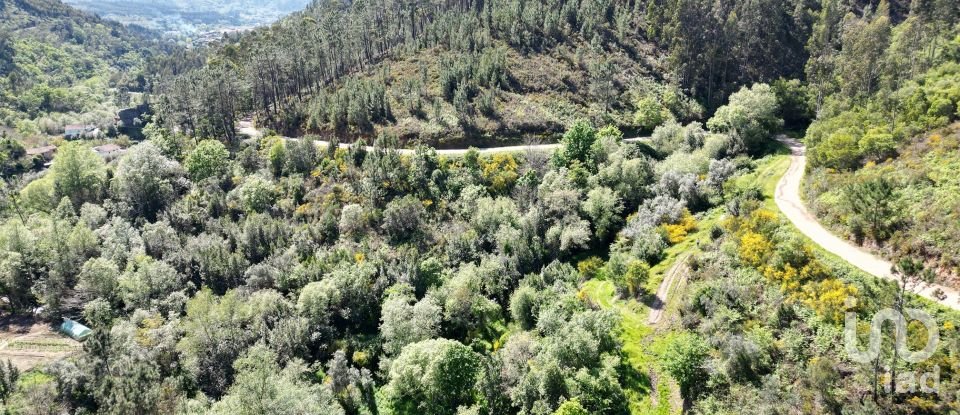 Building plot in São Miguel, Santa Eufémia e Rabaçal of 27,351 m²