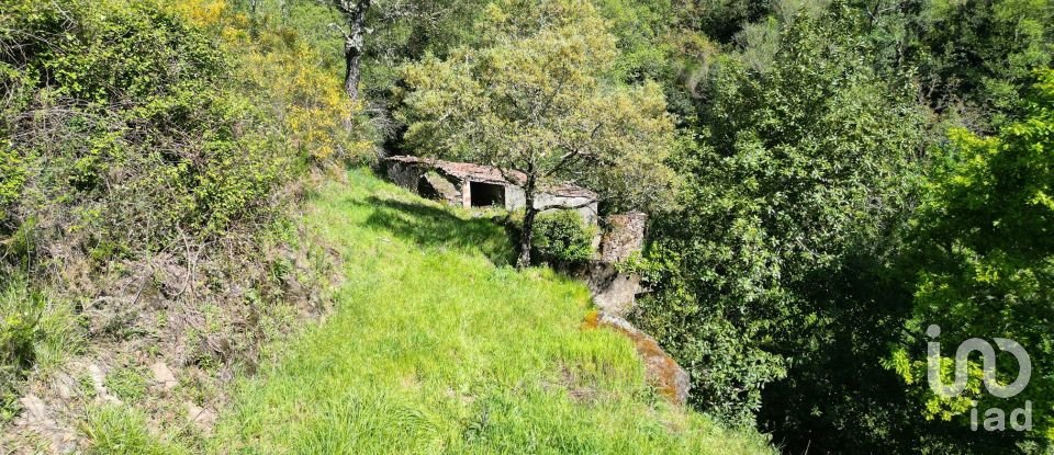 Building plot in São Miguel, Santa Eufémia e Rabaçal of 27,351 m²