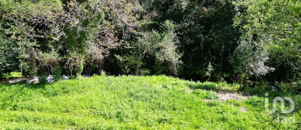 Building plot in São Miguel, Santa Eufémia e Rabaçal of 27,351 m²